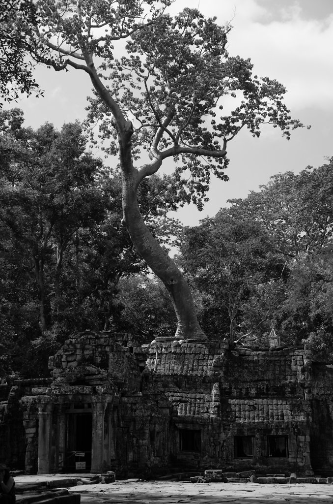 Ta Prohm